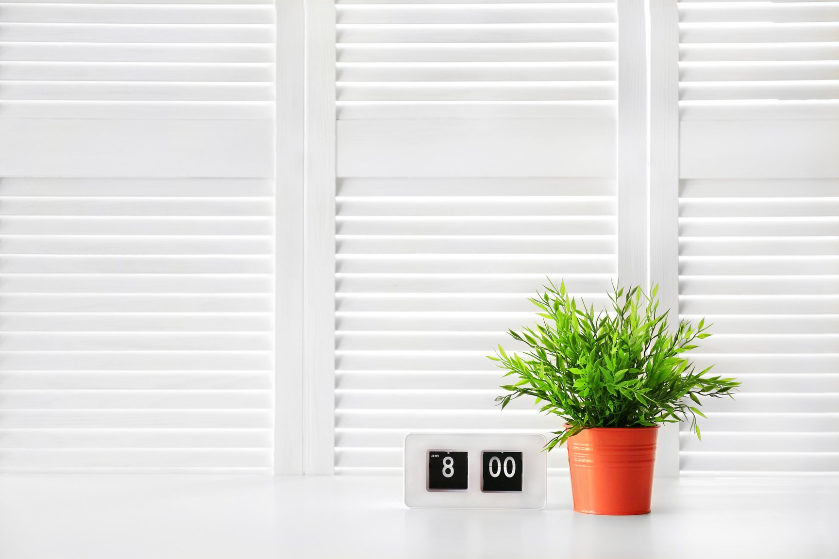 Green Plant on White Folding Screen Background